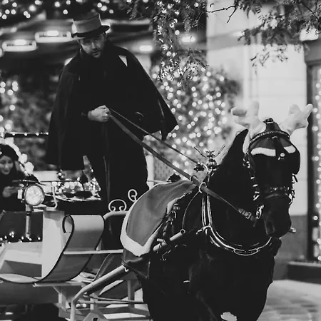 Latroupe Jacobs 都柏林