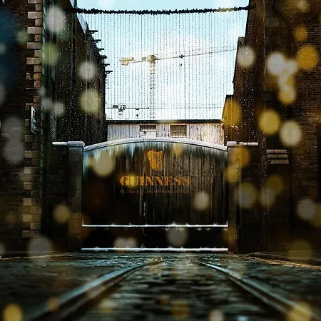 旅馆 雅各布斯旅馆 都柏林