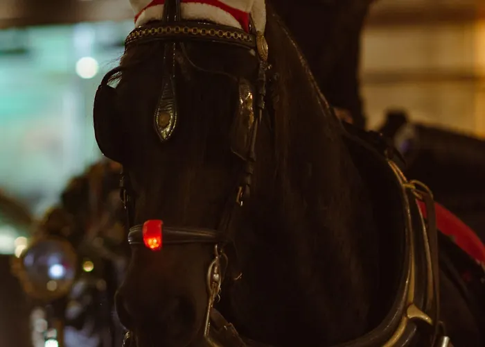 Latroupe Jacobs Дублин